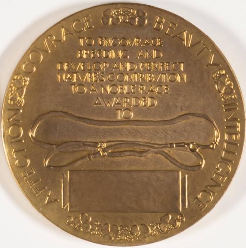 Reverse Irish Setter Club of America Medal