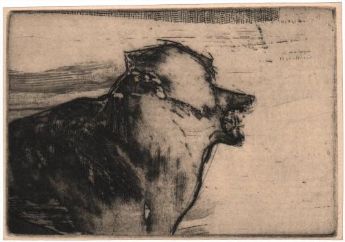 untitled [growling dog]