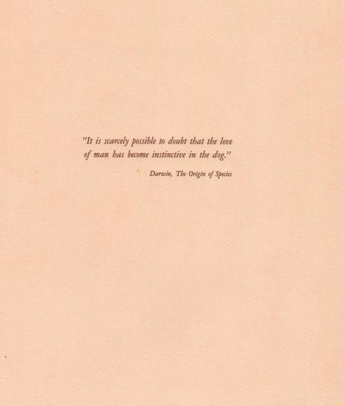 “It is scarcely possible to doubt that the love of man has become instinctive in the dog.” from Darwin’s Origin of Species