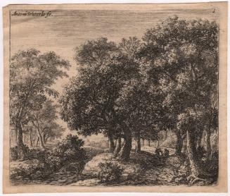 The Forest Lane