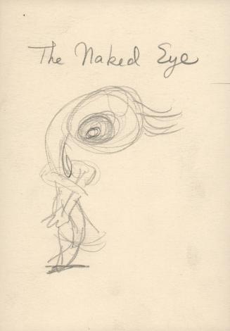 (17) The Naked Eye