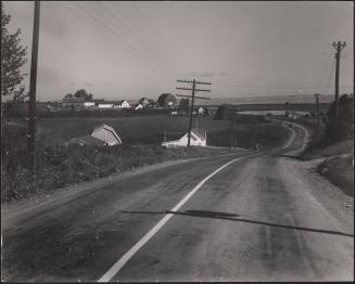 Untitled, country road