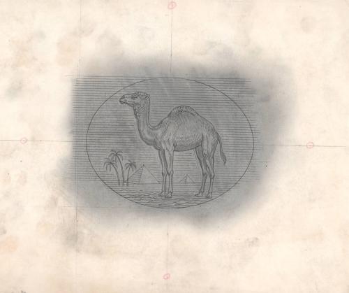 (116) untitled [sketch, CAMEL logo]