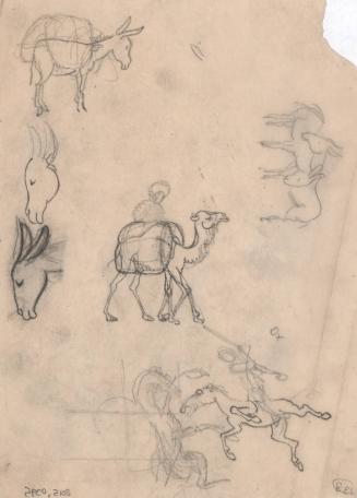 (138) untitled [various sketches, donkeys, camel with rider, horse and rider; verso 2 donkeys]