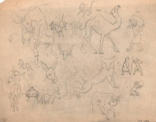 (139) untitled [various sketches, several donkeys, a camel, ox, fox, lion, people, and dogs]