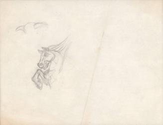 (143) untitled [sketch; horse head with raised front leg]