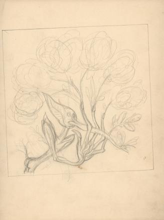 (160) untitled [sketch of Anthropomorphic plant figure with flowers growing from its fingers]