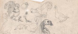 (112) untitled [sketches, chickens, rooster, turkey, ducks, goose]