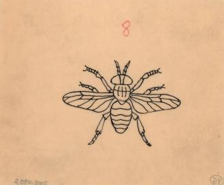 (95) untitled [sketch, fly (wings open)]