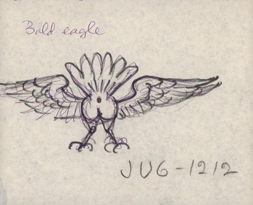 (150)  Bald Eagle
