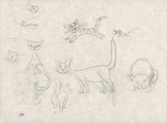 (83)  untitled [sketches of many cats, including mouse chasing cat]