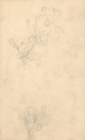 (159)  untitled [sketch, bird eating; verso, sketches]