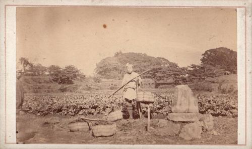 Farmer with bales