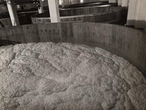 Ballantine Fermenting Vat