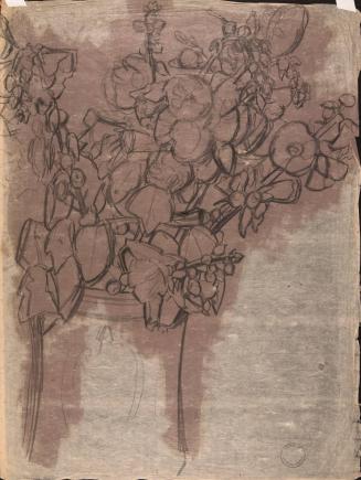 [Study of flowers in a jar]