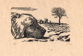 [Dog in landscape]