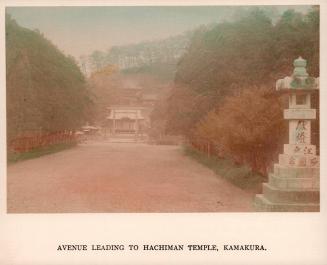 Avenue Leading to Hachiman Temple, Kamakura
