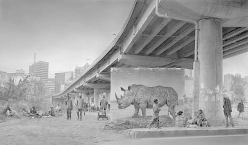 Underpass with Rhino and Egret