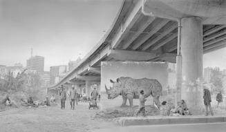 Underpass with Rhino and Egret