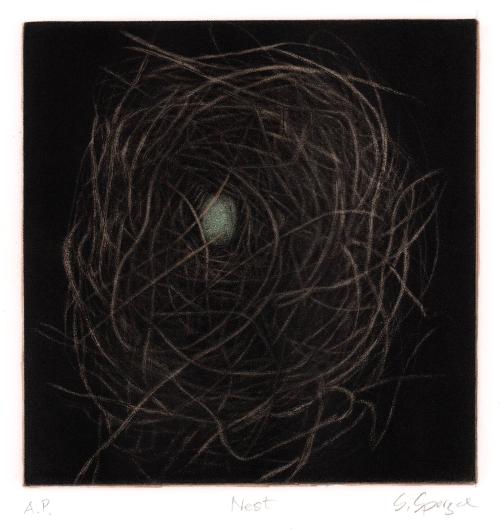 Nest