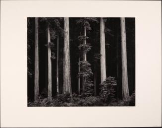 Ansel Adams