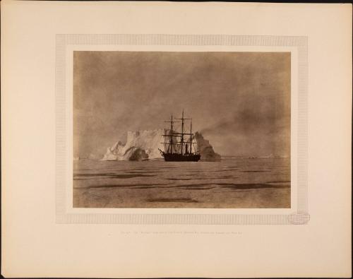 William Bradford