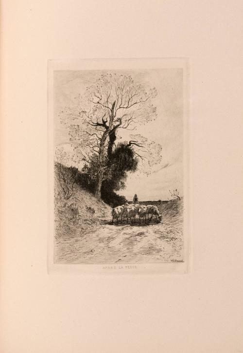 Théophile Chauvel