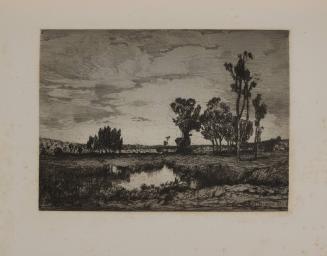 The Passaic Meadows