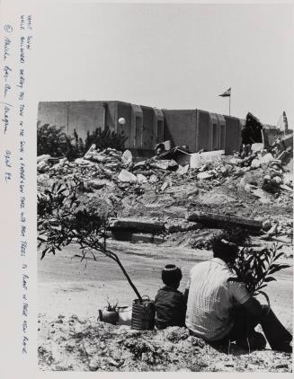 While bulldozers destroy this town in the Sinai a father & son take with them trees to plant in their new place