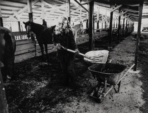 Mucking Stall, Horse Ranch, Pleasanton Fairgrounds, Pleasanton, California