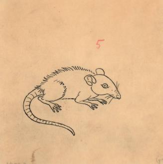 (87) untitled [sketch, rat]