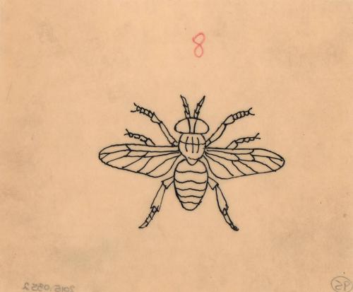 (95) untitled [sketch, fly (wings open)]