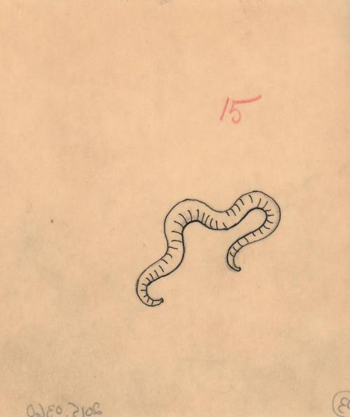 (103) untitled [sketch, worm]