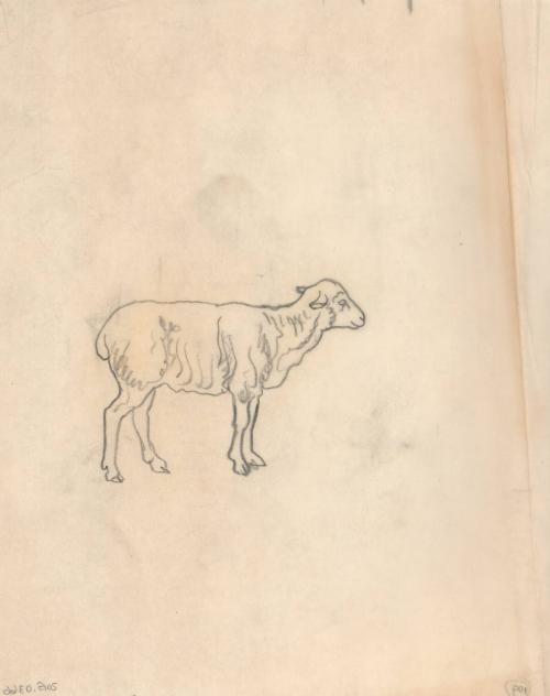 (109) untitled [sketch, sheep]