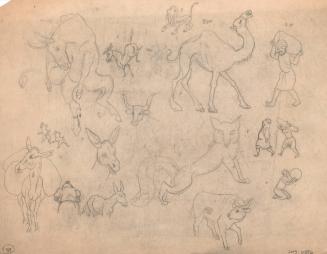 (139) untitled [various sketches, several donkeys, a camel, ox, fox, lion, people, and dogs]