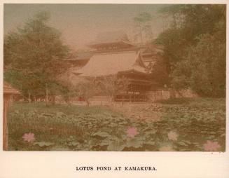 Lotus Pond at Kamakura