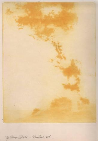 [Yellow Plate, Printed 2nd]