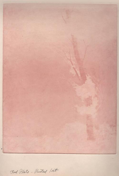 [Red Plate, Printed 1st]