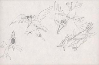 (160/8) “Strictly for the Birds”, untitled [sketch, four squawking birds]