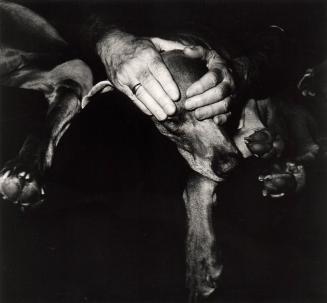 William Wegman with Chip and Battina