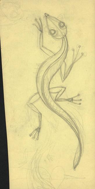 (336) untitled [sketch, salamander]