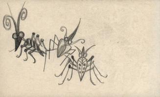 [Sketch of three bugs]