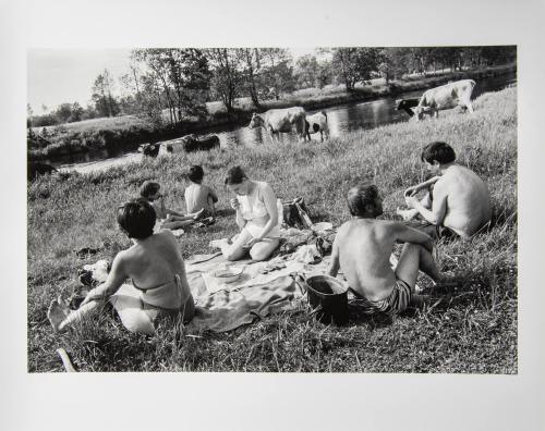 Sunday Picnic, Vladimir Region