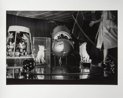Space Dogs, Moscow