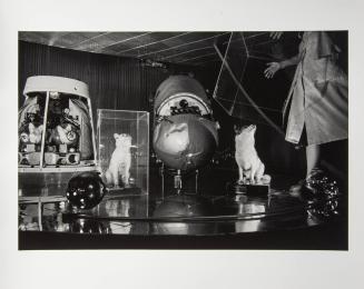 Space Dogs, Moscow