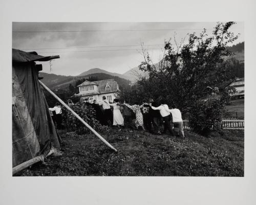 Wedding, Carpathian Mountains, Ukraine