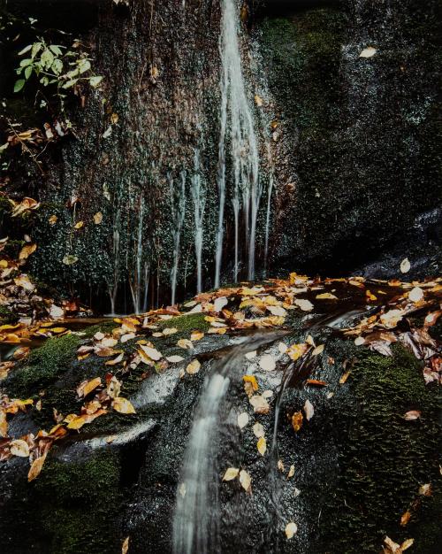 Running Water, Roaring Fork Road, Great Smokey Mountains, 10 October 1967