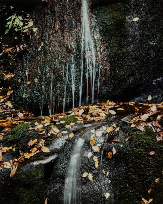 Running Water, Roaring Fork Road, Great Smokey Mountains, 10 October 1967