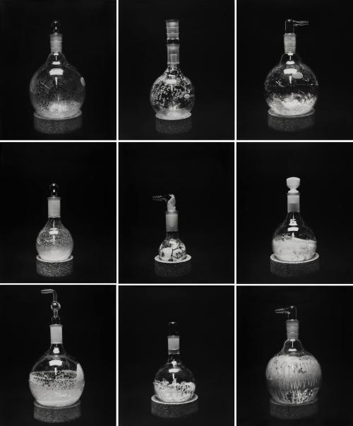 Sequential Molecules Typology