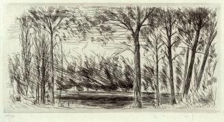 [Woods]
